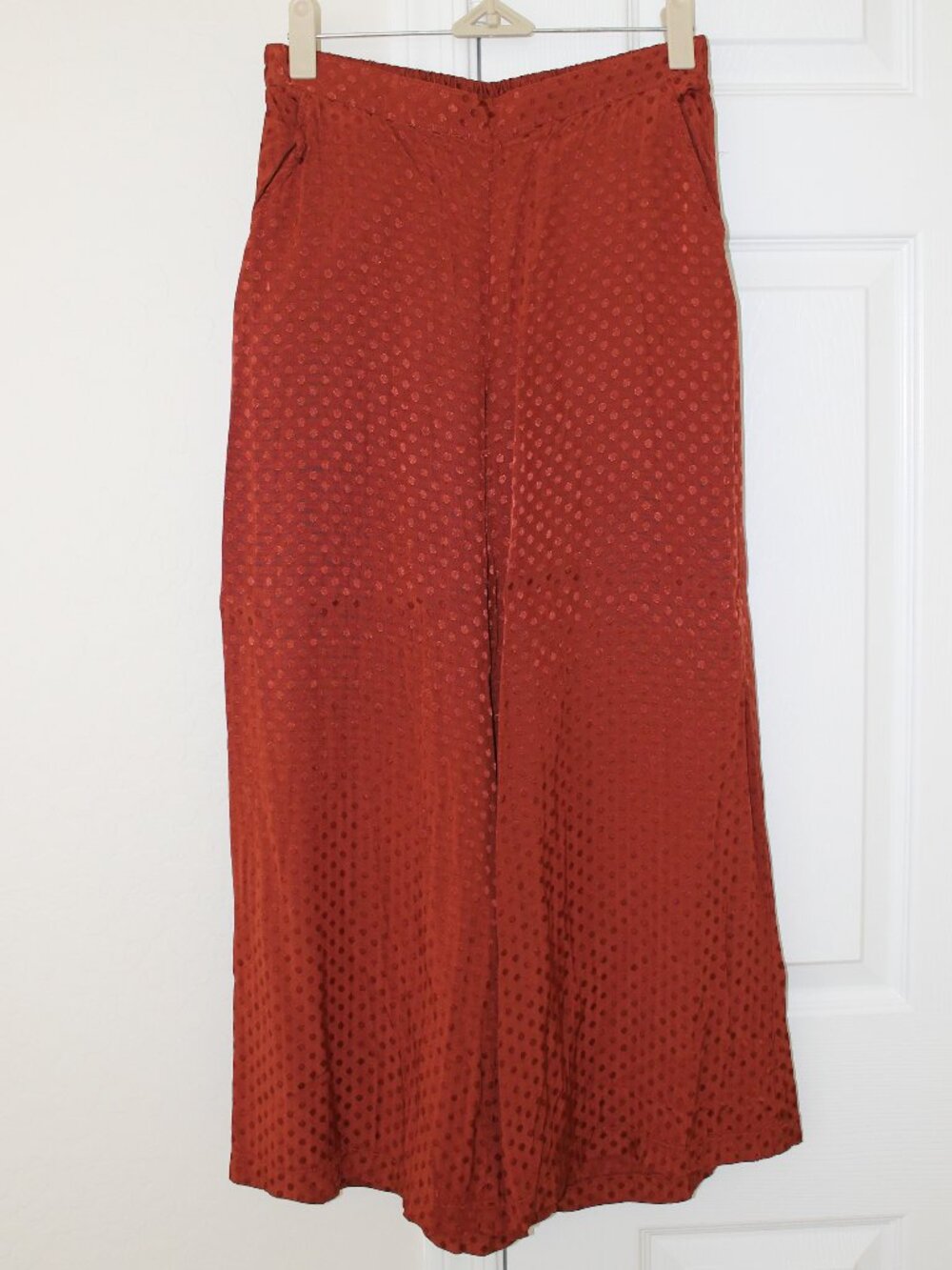Anthropologie Dolan Left Coast Collection Rust Wide Leg Pants — XS